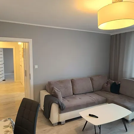 Gdanska Panorama Niedzwiadka Danzig