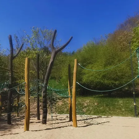 Gdanska Panorama Niedzwiadka Danzig