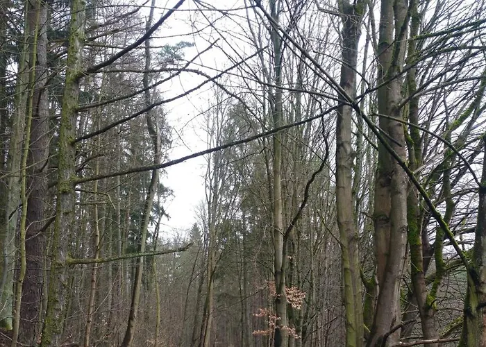 - Quiet Area With A Sea View Daire